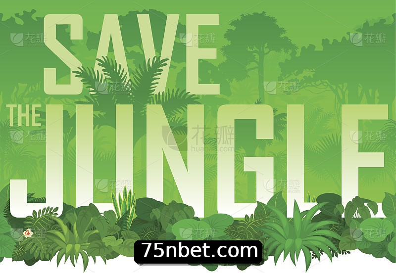 Integração de APIs 75bet